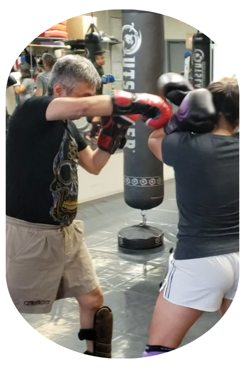 Level 8 Adult Classes (10)