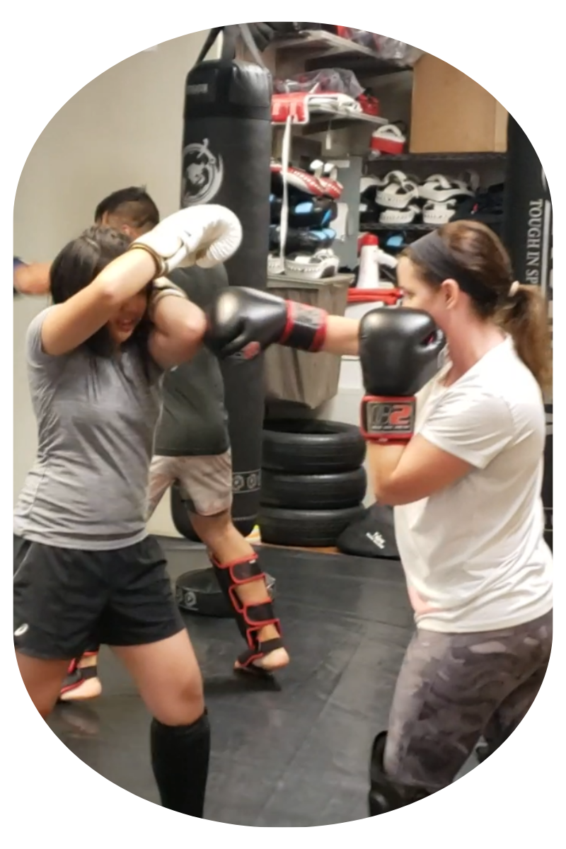 Level 8 Adult Classes (5)