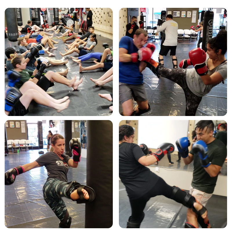Level 8 Adult Kickboxing