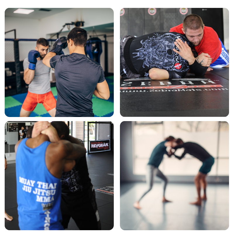 Level 8 Style Adult Pankration