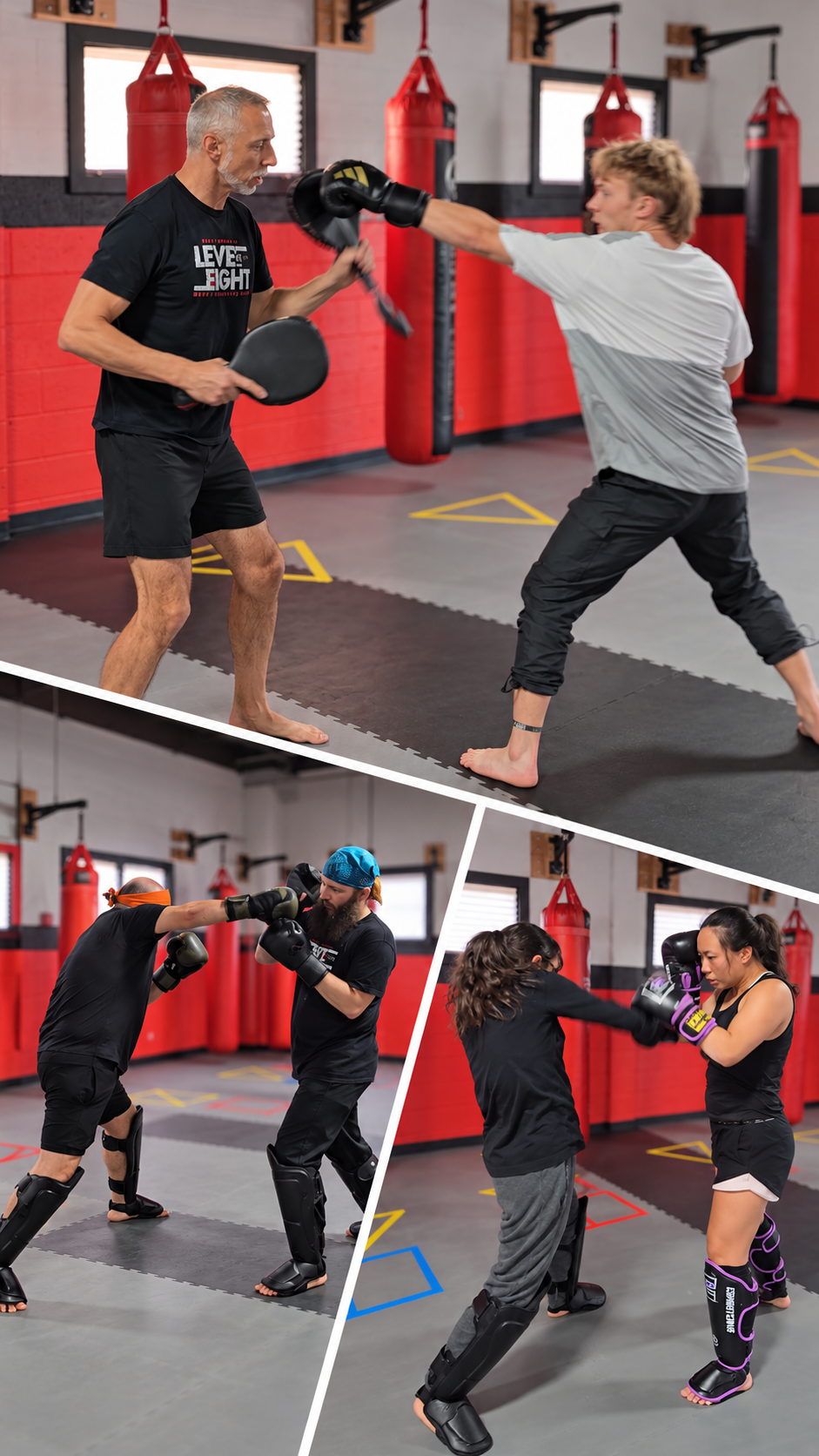 Dynamic Martial Arts Training Collage